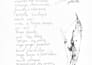 ink drawings and scientific illustration